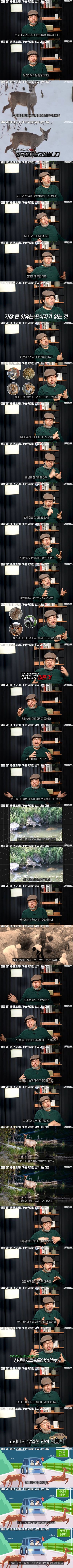 멸종 위기종인 고라니가 한국에만 넘쳐나는 이유.jpg